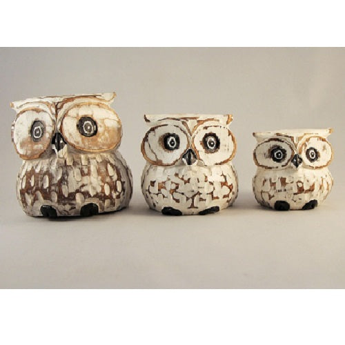 Owls Chubby - Just-Oz