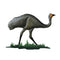 Emu Walking - Just-Oz
