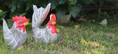FARM ANIMALS