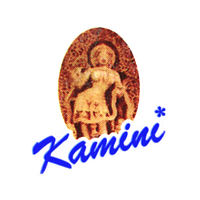 KAMINI 20GR Hex