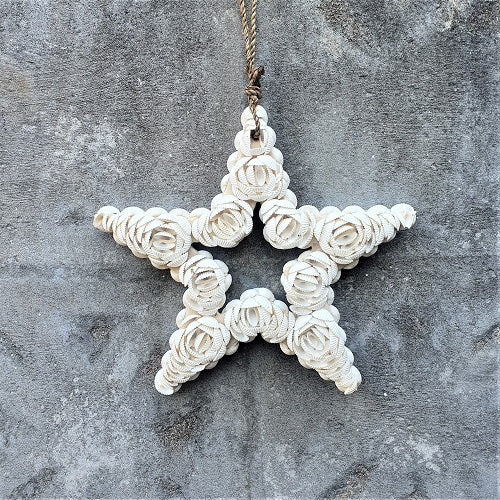 Shell Star Outline