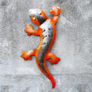 Gecko Single