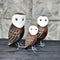 Owls Sitting Wire Legs