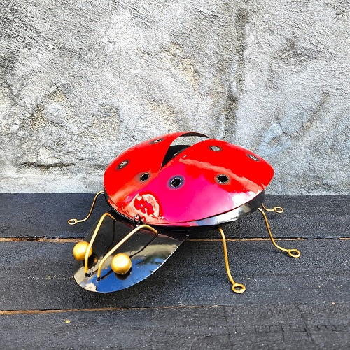 Ladybird Mossie Coil Holder - Just-Oz