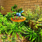 Garden Welcome Stake Blue Wren - Just-Oz