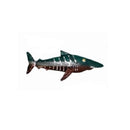 Shark Small - Just-Oz