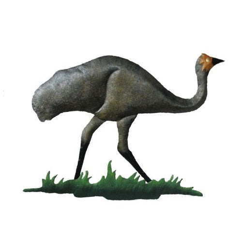 Emu Walking - Just-Oz