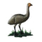 Emu Standing - Just-Oz