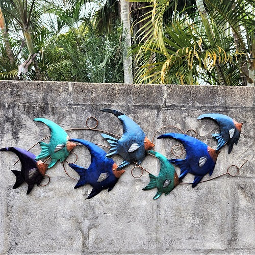 School of Angel Fish
