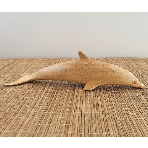 Dolphin Swimming