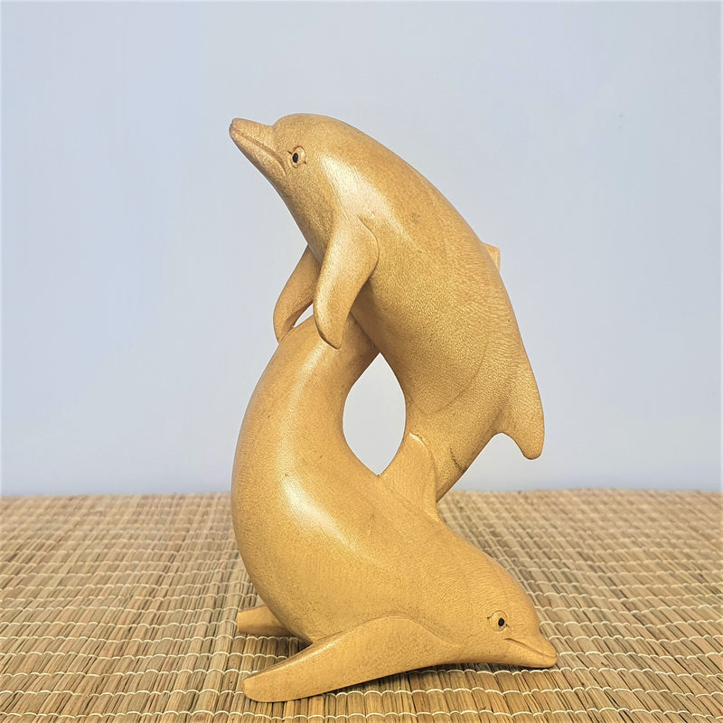 Dolphins Frolicking