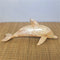 Dolphin - Shell 25cm