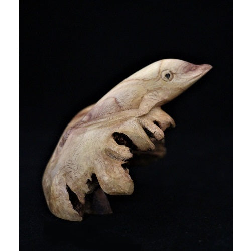 Parasite Dolphin - Just-Oz