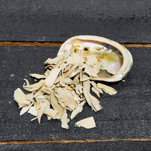 White Sage Smudge Loose & Abalone Shell