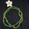 Necklace Glass Beads