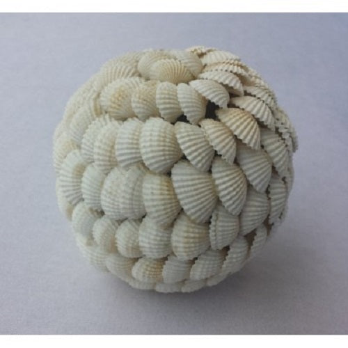 Shell Ball - Just-Oz