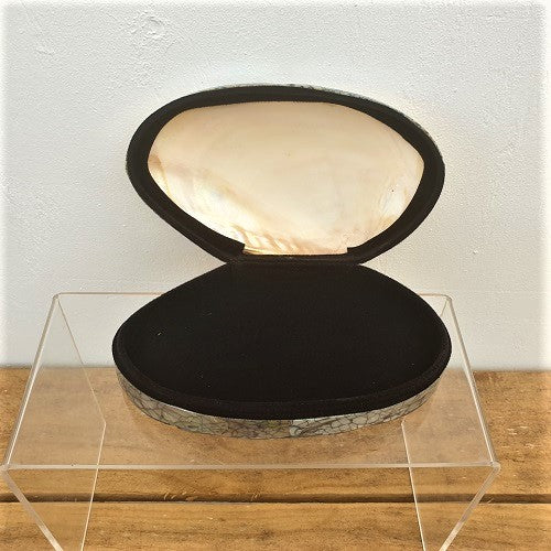 Abalone Shell Jewellery Box