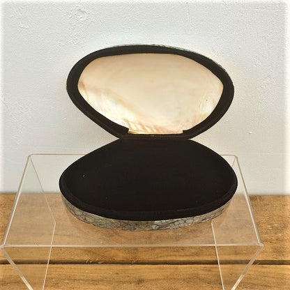Abalone Shell Jewellery Box
